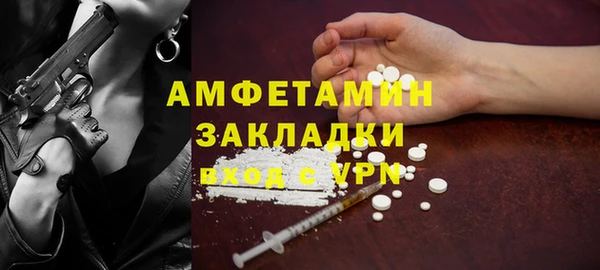 стаф Алзамай