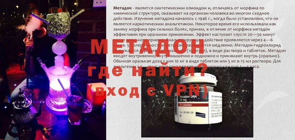 стаф Алзамай