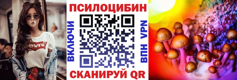 купить закладку  мега онион  Псилоцибиновые грибы GOLDEN TEACHER  Нижний Новгород 